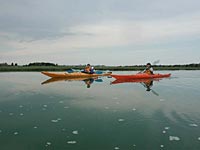 Recreational paddling