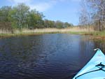 Bass Creek - dead end