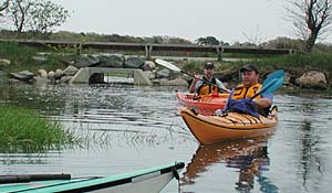 Scorton's Creek